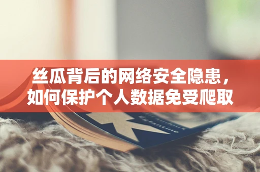 丝瓜背后的网络安全隐患，如何保护个人数据免受爬取之忧？