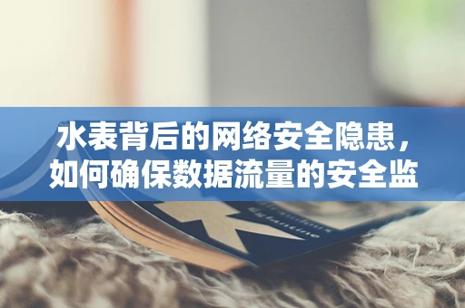 水表背后的网络安全隐患，如何确保数据流量的安全监测？