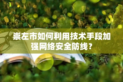 崇左市如何利用技术手段加强网络安全防线？