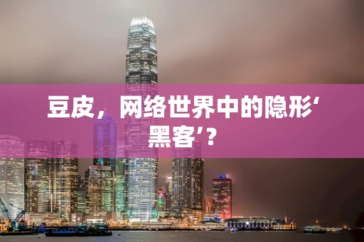 豆皮，网络世界中的隐形‘黑客’？