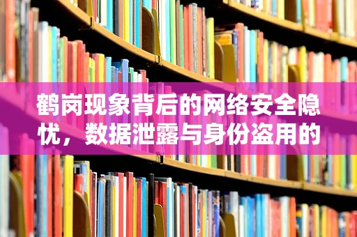 鹤岗现象背后的网络安全隐忧，数据泄露与身份盗用的新挑战？