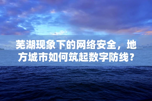 芜湖现象下的网络安全，地方城市如何筑起数字防线？