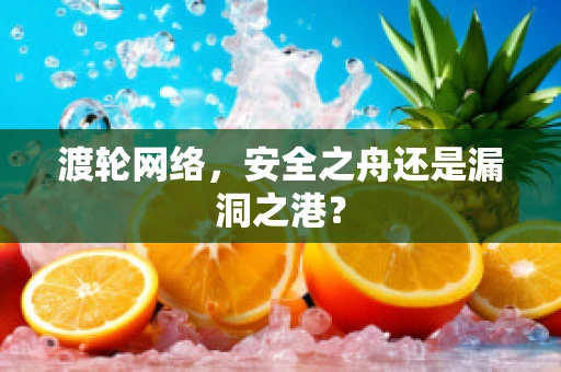 渡轮网络，安全之舟还是漏洞之港？