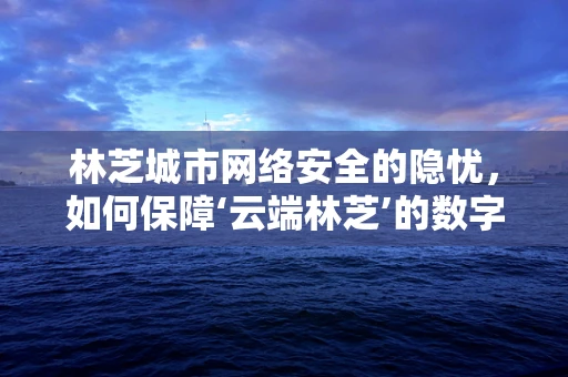 林芝城市网络安全的隐忧，如何保障‘云端林芝’的数字安全？