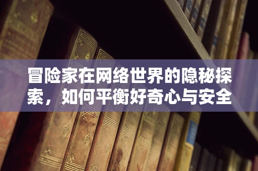 冒险家在网络世界的隐秘探索，如何平衡好奇心与安全风险？