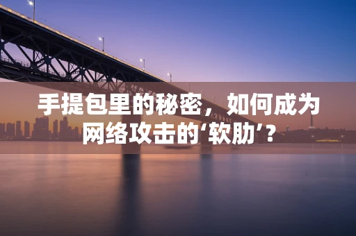 手提包里的秘密，如何成为网络攻击的‘软肋’？