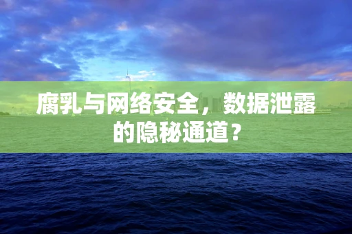 腐乳与网络安全，数据泄露的隐秘通道？