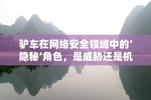 驴车在网络安全领域中的‘隐秘’角色，是威胁还是机遇？