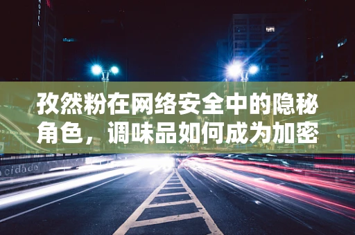 孜然粉在网络安全中的隐秘角色，调味品如何成为加密解密的关键？