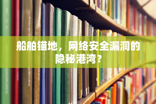 船舶锚地，网络安全漏洞的隐秘港湾？