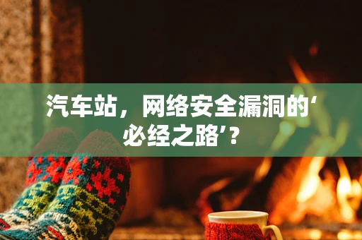 汽车站，网络安全漏洞的‘必经之路’？