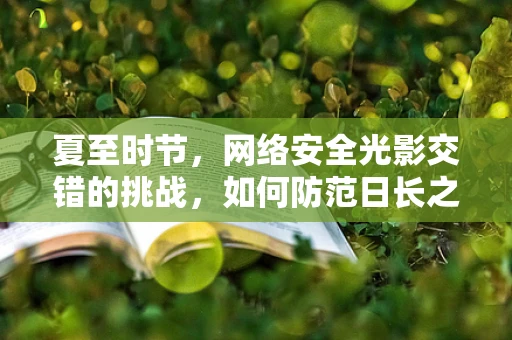 夏至时节，网络安全光影交错的挑战，如何防范日长之下的数据泄露风险？