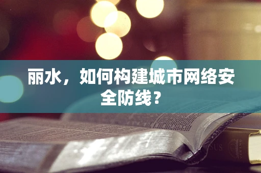 丽水，如何构建城市网络安全防线？