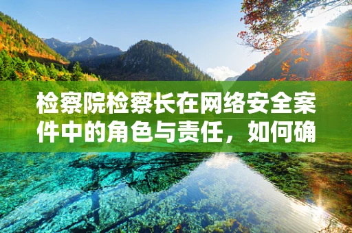 检察院检察长在网络安全案件中的角色与责任，如何确保法律与技术并进？