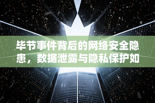 毕节事件背后的网络安全隐患，数据泄露与隐私保护如何平衡？