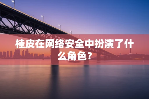 桂皮在网络安全中扮演了什么角色？