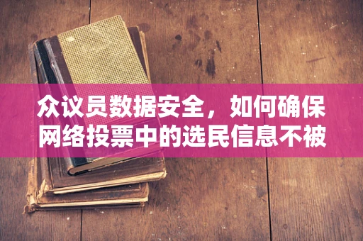 众议员数据安全，如何确保网络投票中的选民信息不被泄露？