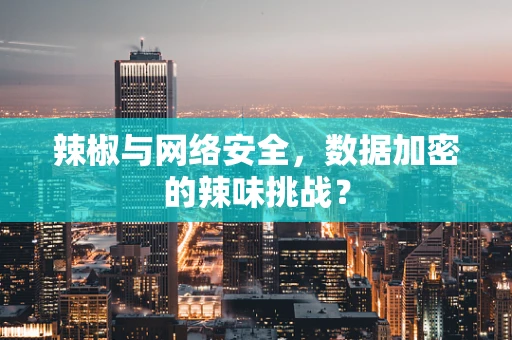 辣椒与网络安全，数据加密的辣味挑战？