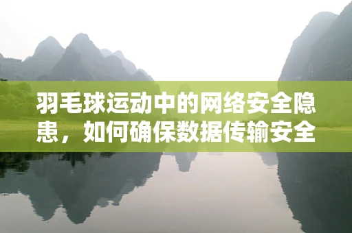 羽毛球运动中的网络安全隐患，如何确保数据传输安全？