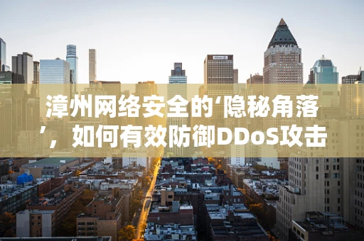 漳州网络安全的‘隐秘角落’，如何有效防御DDoS攻击？