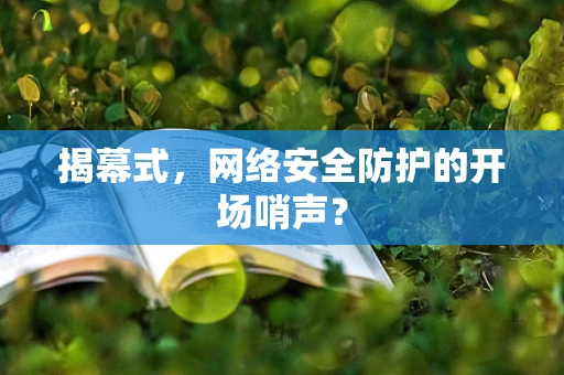 揭幕式，网络安全防护的开场哨声？