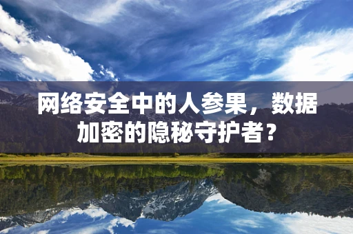 网络安全中的人参果，数据加密的隐秘守护者？