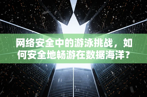 网络安全中的游泳挑战，如何安全地畅游在数据海洋？