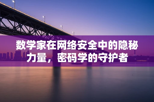 数学家在网络安全中的隐秘力量，密码学的守护者