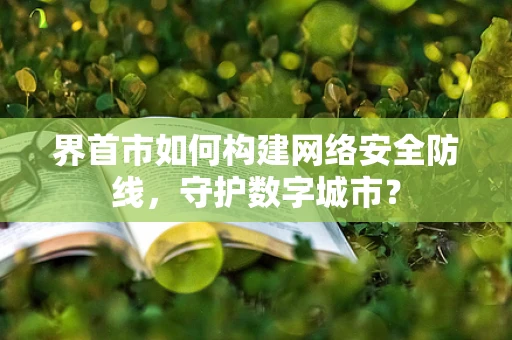 界首市如何构建网络安全防线，守护数字城市？