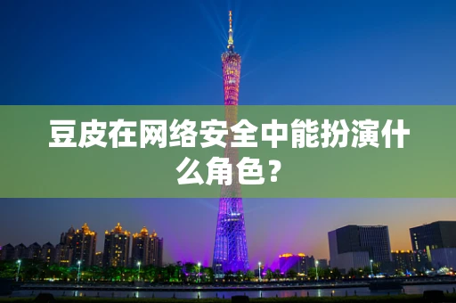 豆皮在网络安全中能扮演什么角色？