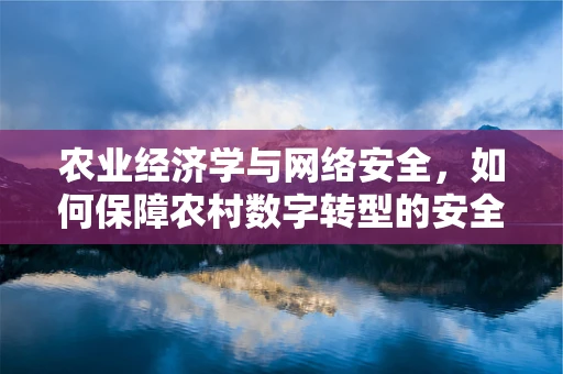 农业经济学与网络安全，如何保障农村数字转型的安全防线？