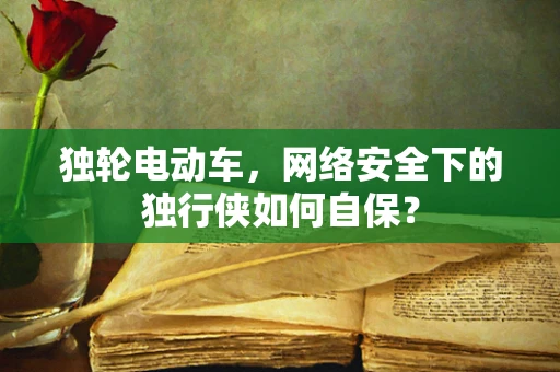 独轮电动车，网络安全下的独行侠如何自保？