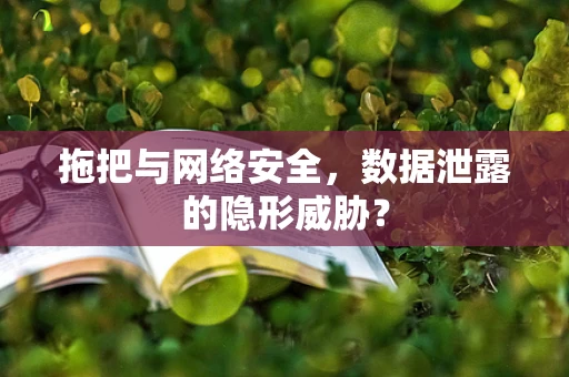 拖把与网络安全，数据泄露的隐形威胁？