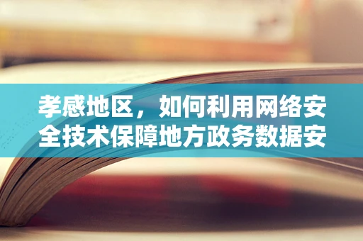 孝感地区，如何利用网络安全技术保障地方政务数据安全？