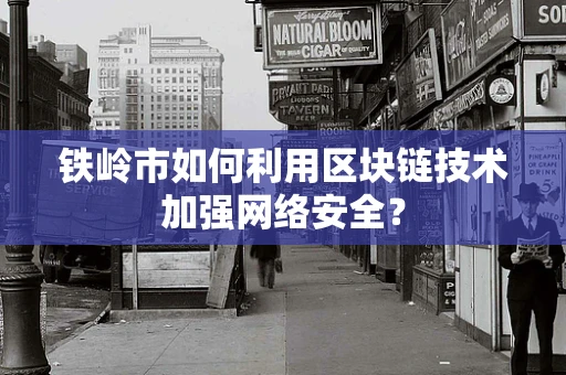 铁岭市如何利用区块链技术加强网络安全？