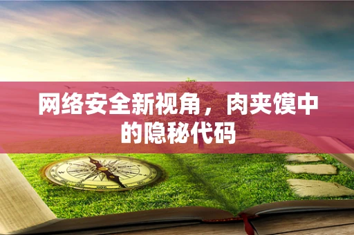 网络安全新视角，肉夹馍中的隐秘代码