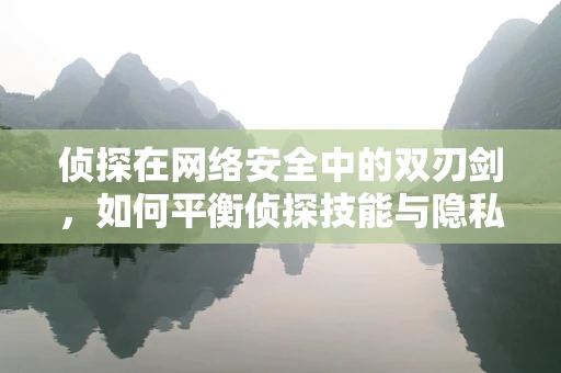 侦探在网络安全中的双刃剑，如何平衡侦探技能与隐私保护？