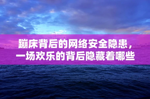 蹦床背后的网络安全隐患，一场欢乐的背后隐藏着哪些未知风险？