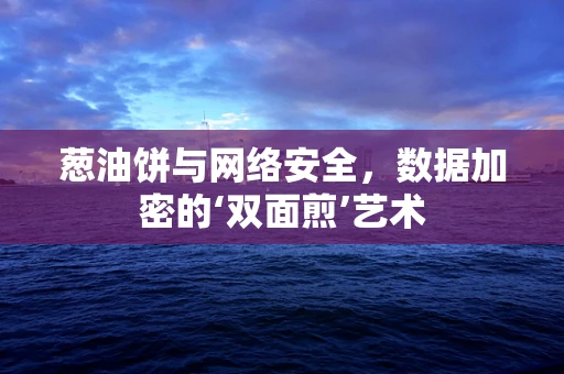 葱油饼与网络安全，数据加密的‘双面煎’艺术