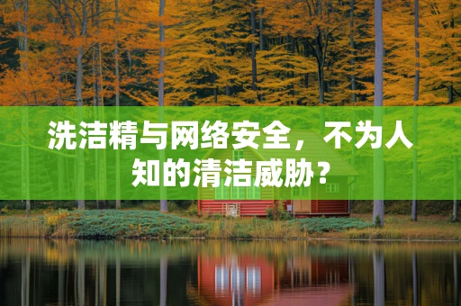 洗洁精与网络安全，不为人知的清洁威胁？