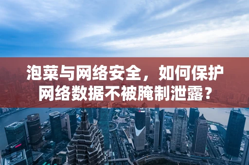 泡菜与网络安全，如何保护网络数据不被腌制泄露？