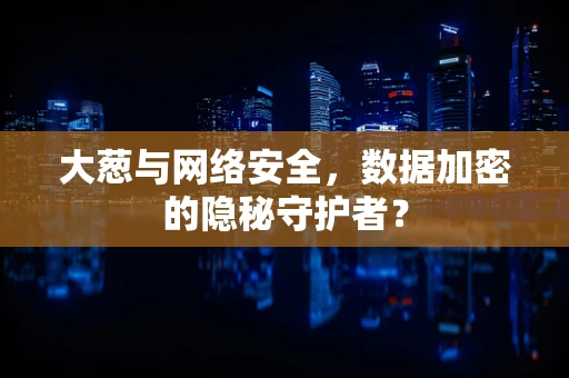 大葱与网络安全，数据加密的隐秘守护者？