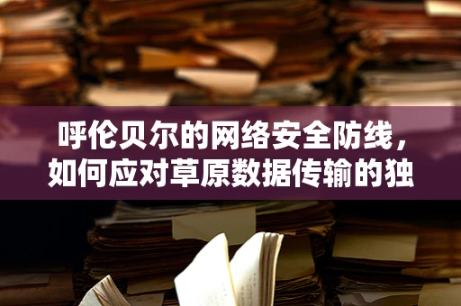 呼伦贝尔的网络安全防线，如何应对草原数据传输的独特挑战？