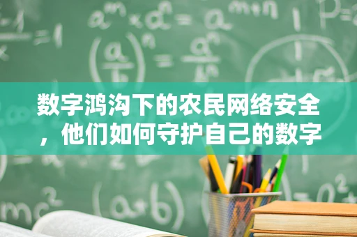 数字鸿沟下的农民网络安全，他们如何守护自己的数字资产？