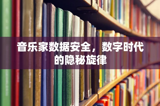 音乐家数据安全，数字时代的隐秘旋律